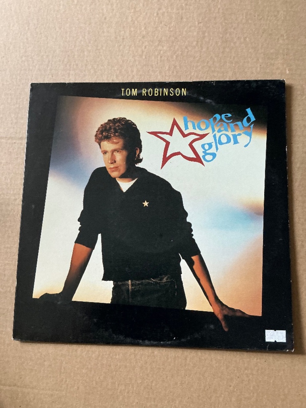 Tom Robinson Hope And Glory Vinyl Geffen Records 1984